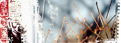 Web site hosting, web domain name registration 