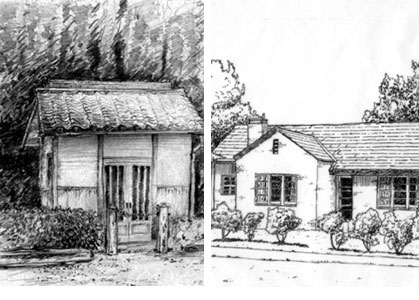 Observational Drawings