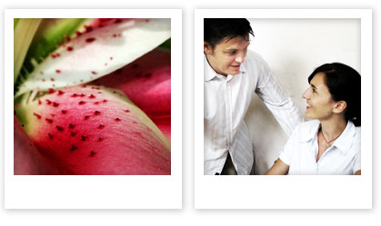flower bjarni wark